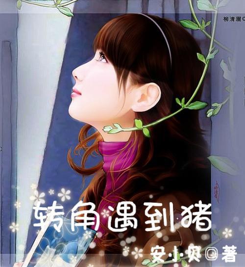 小汽车的太空梦
