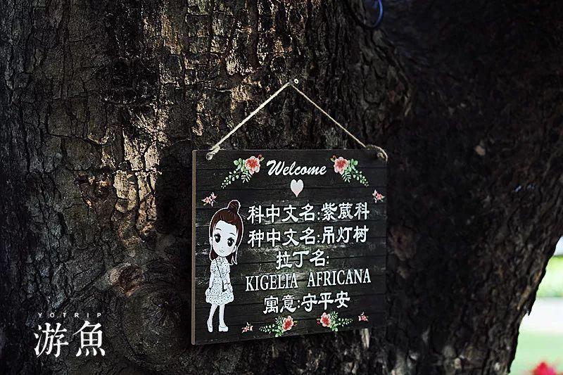 应采儿带俩娃游环球影城，俩儿子羽绒服裹严实