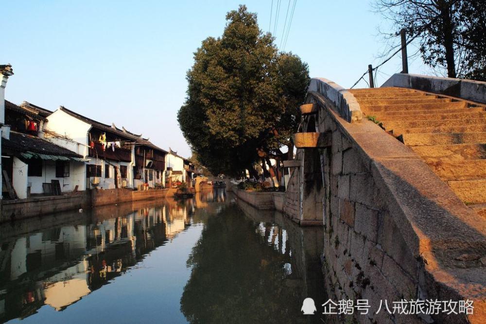 神奇教授看彩：纽卡斯尔喷气机vs布里斯班狮吼 欧赔揭示内在规律